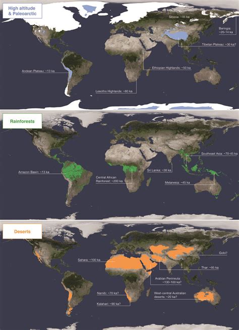 Homo Sapiens Developed A New Ecological Niche That Separated It From