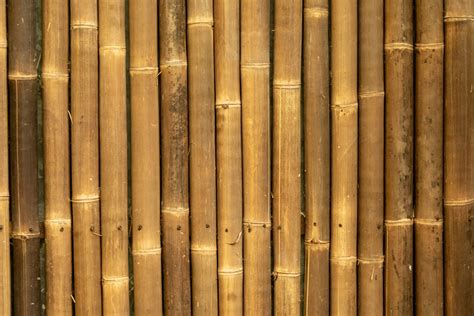 Fundo De Bambu Marrom Foto Stock Gratuita Public Domain Pictures