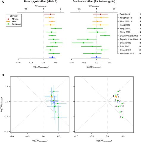 Figure From The Effect Of Actn Gene Doping On Skeletal Muscle