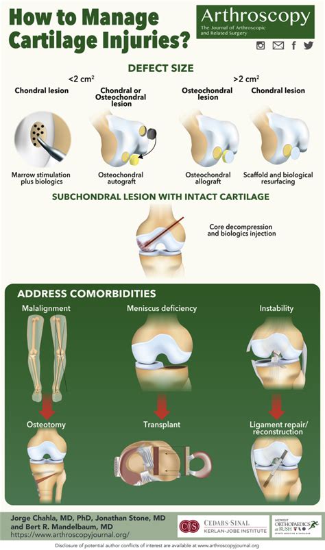 How To Manage Cartilage Injuries Arthroscopy