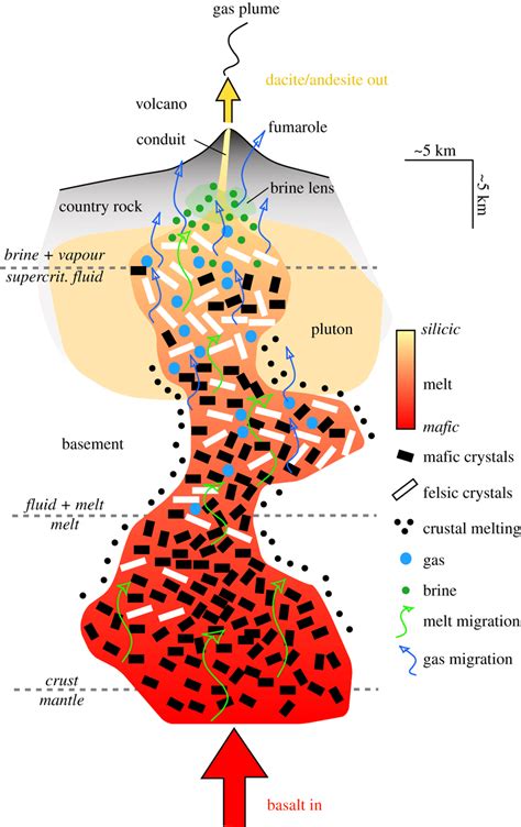 Schematic Of A Typical Transcrustal Magmatic System Showing Features