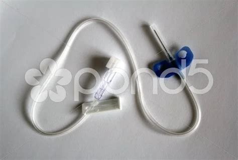 Peripheral venous catheter Stock Photo ~ Image #81997485