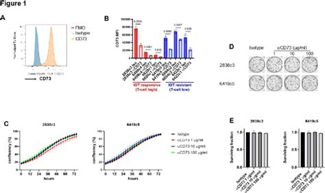 Expression Of Cd On Kpcy Derived Cell Lines And Response To Anti Cd