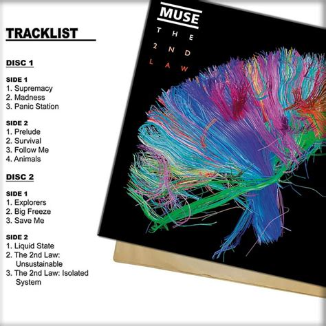 madness muse album
