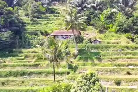 Kampung Terpencil Di Kabupaten Garut Ini Rumah Rumahnya Tersembunyi