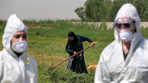 Erbil Records A New Crimean Congo Fever Case