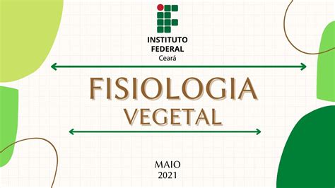 Fisiologia Vegetal Constru O De Mapas Mentais Youtube