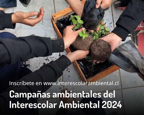 Campañas Ambientales Que Tiene El Interescolar Ambiental 2024