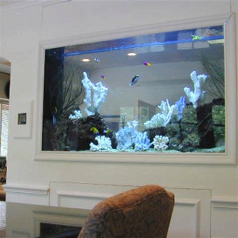 Shark Fish Tank Home - Iweky