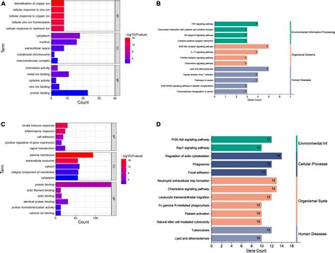 Frontiers Cardiovascular Adverse Events In Chronic Myeloid Leukemia Patients Treated With