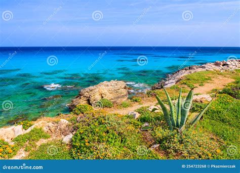 Beautiful Island Of Majorca Spain Stock Photo Image Of Palm