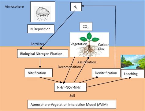 Scientists Improve A Land Surface Model To Better Simulate The Carbon