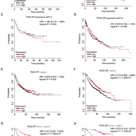 The prognostic values of TOX3 in lung adenocarcinoma. The association ...