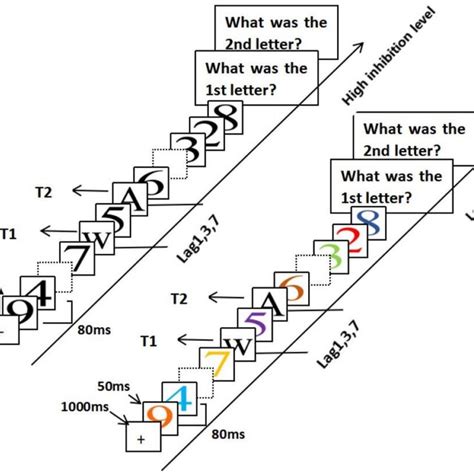 Schematic Representation Of The Display Sequence Of Stimuli In Ab Task