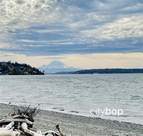 10 BEST Things to Do at Discovery Park Seattle - CityBOP