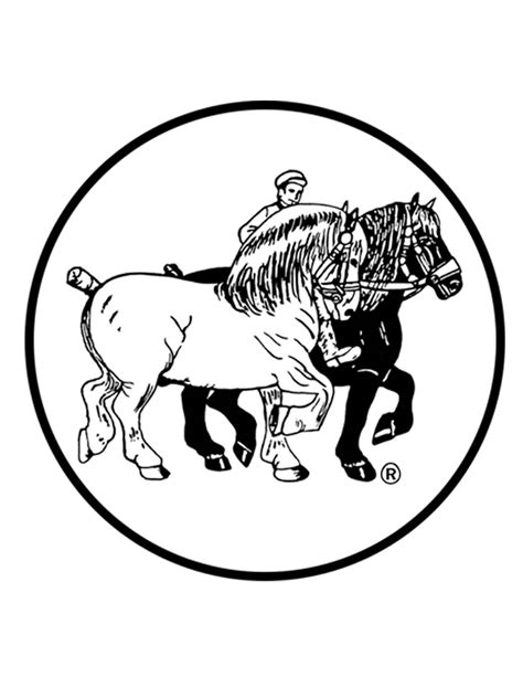 Belgian Draft Horse Corporation Colors And Markings