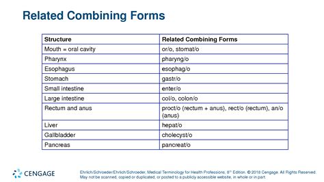 Chapter 8 Medical Terminology BtisamLinzi