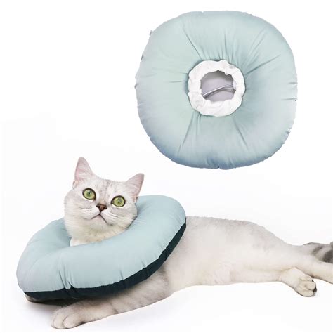 How Cat Eats With Cone at Blair Martin blog