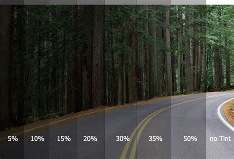 Тонировка 30 Процентов Как Выглядит Фото – Telegraph