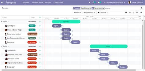 Odoo Project Management