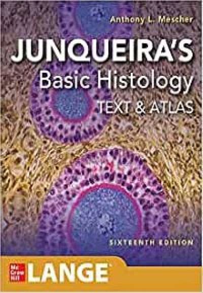 Junqueiras Basic Histology Text And Atlas 17th