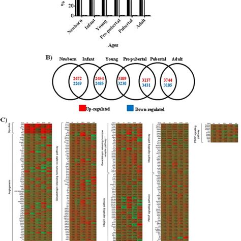 Characterization Of Mesenchymal Stem Cell Derived Extracellular