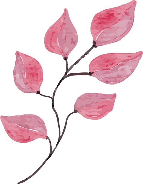 Free Roze Blad Waterverf Klem Kunst 13217685 PNG With Transparent