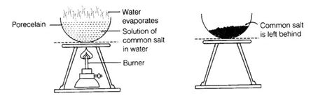 Diagram Of Evaporation With Labelled Parts