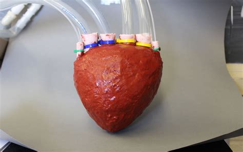 Scientists make an artificial heart out of foam