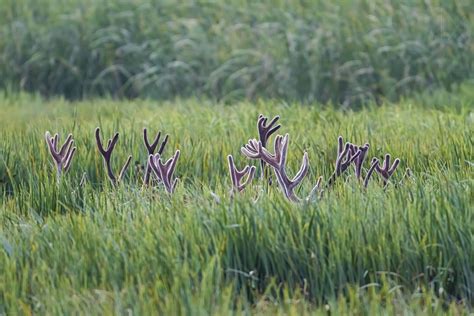 Secret meeting : pics