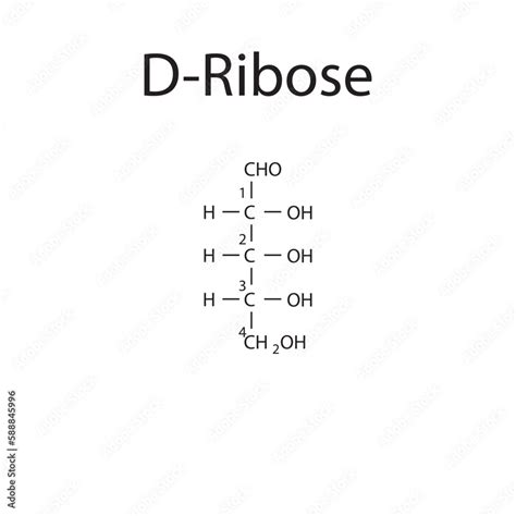 Straight chain form chemical structure of D-Ribose sugar. Scientific ...