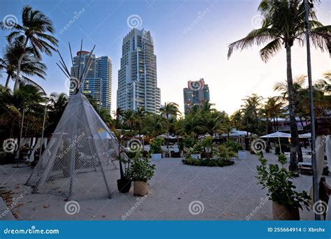 El Parque De Palmeras De La Playa De Miami Y Los Rascacielos Vistas Al