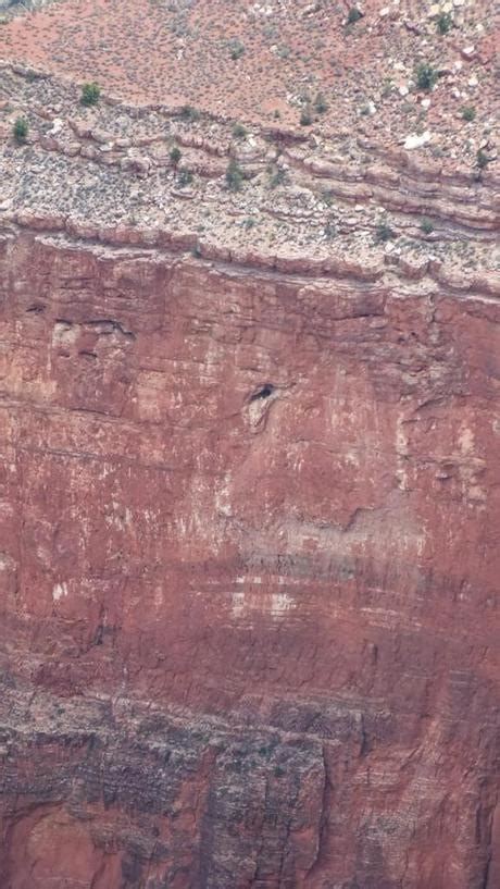 California Condors At Grand Canyon National Park Arizona Paperblog