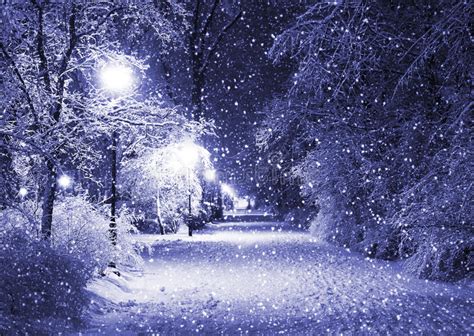 Winter alley at night stock image. Image of nature, alley - 17070871