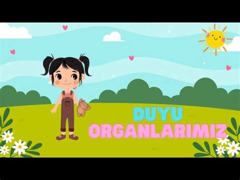 5 Duyu Organımız Okul Öncesi Eğitici Animasyon YouTube