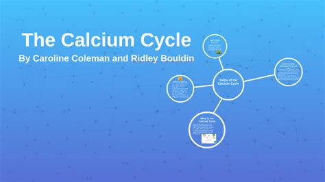 The Calcium Cycle by Caroline Coleman on Prezi