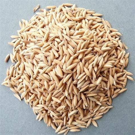 Hybrid Rice Seeds Market Swot Analysis By Lead Segment From 20192025 Dupont Pioneer Syngenta