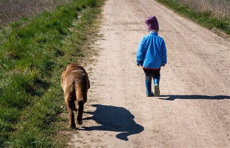 Muchacha Caminando Con Su Perro En Un Camino De Tierra Foto De Archivo