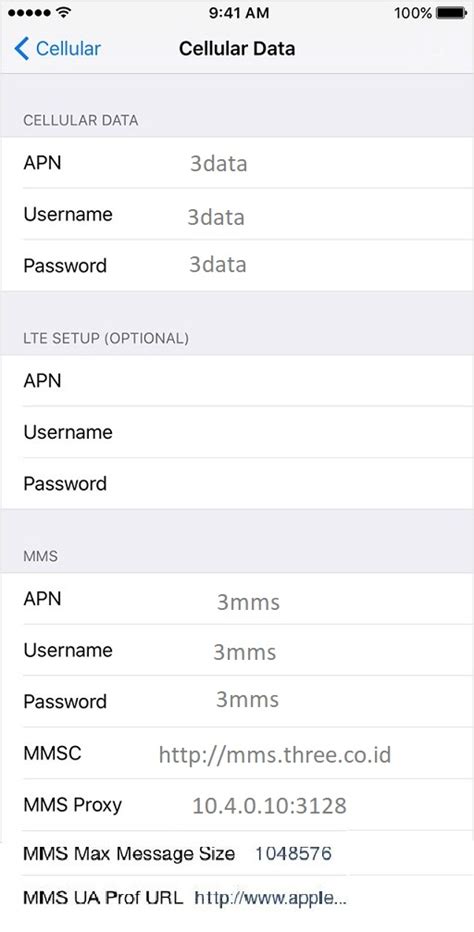 Setting APN 3 Di IPhone 2025 5G 4G LTE APN Indonesia