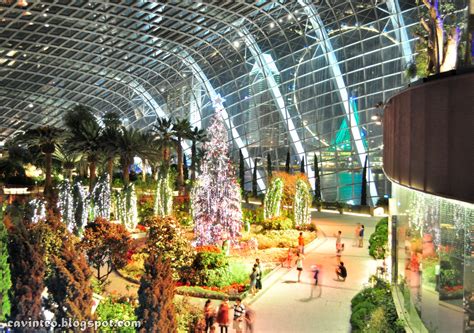 Entree Kibbles: Flower Dome [花穹] at Night @ Gardens by the Bay, Bay South