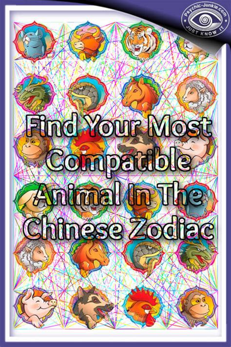 See The Chinese Zodiac Signs For Your Most Compatible Animal