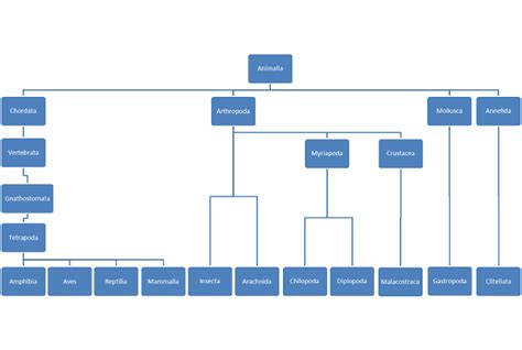 Sluggin Along Taxonomic Charts