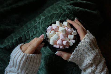 Cup Of Hot Chocolate Stock Image Image Of Petal Blanket 263771841