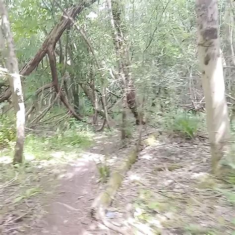 Summertime British Gay Amateur Amateur Porn Xhamster