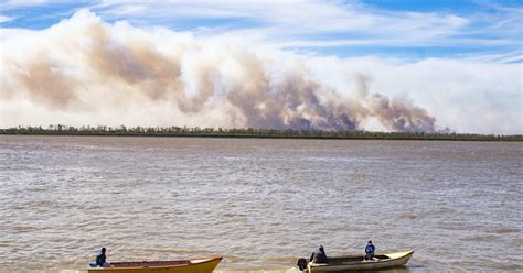 Incendios En El Delta Del Río Paraná Combaten Nuevos Focos Y Ya Hay