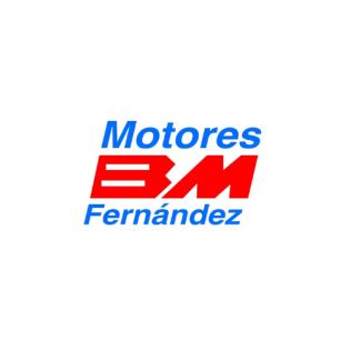 Todo Lo Que Debes Saber Sobre Los Motores De Gasolina Motores BM