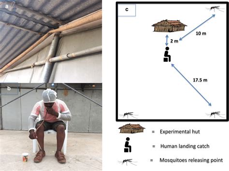 The Evaluation Of Transfluthrin Epti In The Semi Field System A