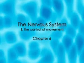 Ppt Chapter The Nervous System Structure And Control Of Movement