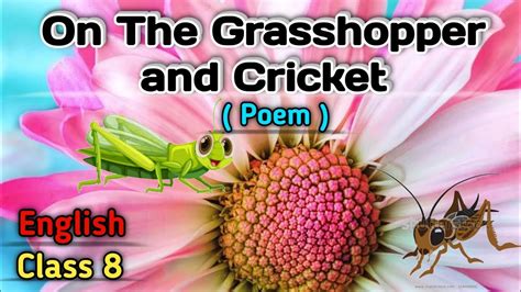 On The Grasshopper And Cricket Poem Class 8 English Summary Conclusion Explanation