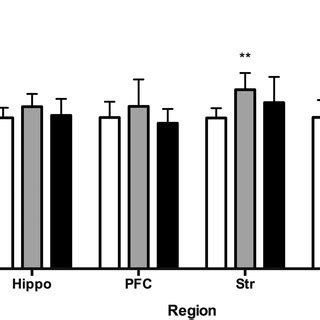 Lithium And Valproic Acid Vpa Increase Synapsin I Gene Expression